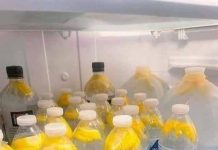 Ginger Water: The Healthiest Drink to Burn Fat and Tone Your Body Ginger Water: The Healthiest Drink to Burn Fat and Tone Your Body - featured image