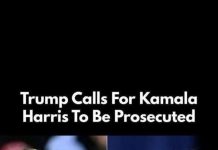 Kamala Harris’ Ex Criticizes Her Campaign: ‘Not One of Them Got it Right’ Kamala Harris’ Ex Criticizes Her Campaign: ‘Not One of Them Got it Right’ - featured image