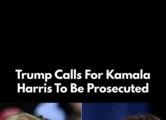 Kamala Harris’ Ex Criticizes Her Campaign: ‘Not One of Them Got it Right’ Kamala Harris’ Ex Criticizes Her Campaign: ‘Not One of Them Got it Right’ - featured image