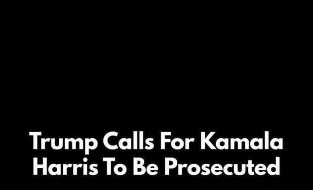 Kamala Harris’ Ex Criticizes Her Campaign: ‘Not One of Them Got it Right’ Kamala Harris’ Ex Criticizes Her Campaign: ‘Not One of Them Got it Right’ - featured image