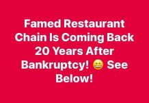 The Heartwarming Return of an American Icon The Heartwarming Return of an American Icon - featured image