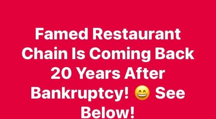 The Heartwarming Return of an American Icon The Heartwarming Return of an American Icon - featured image