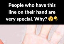 The meaning of the main lines of the hand: The meaning of the main lines of the hand: - featured image