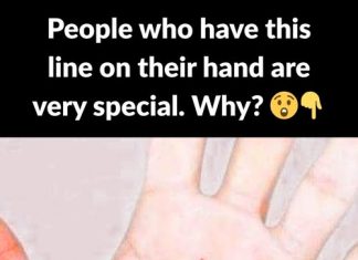 The meaning of the main lines of the hand: The meaning of the main lines of the hand: - featured image