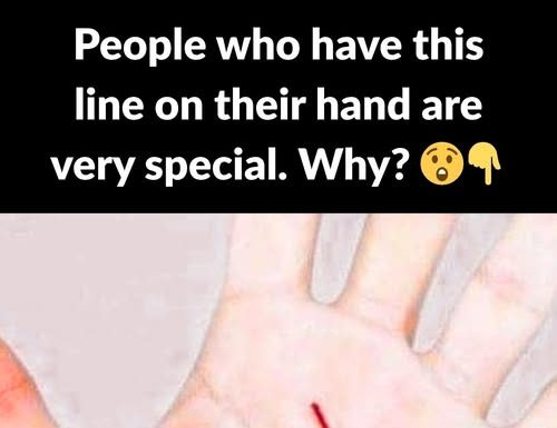 The meaning of the main lines of the hand: The meaning of the main lines of the hand: - featured image