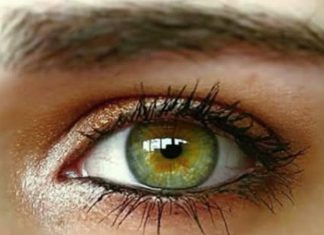 What Green Eyes Can Reveal: Interesting Facts and Traits What Green Eyes Can Reveal: Interesting Facts and Traits - featured image