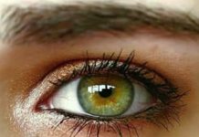 What Green Eyes Can Reveal: Interesting Facts and Traits What Green Eyes Can Reveal: Interesting Facts and Traits - featured image