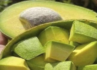 Doctors reveal that eating avocado causes in Doctors reveal that eating avocado causes in - featured image