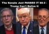 Senate Approves Bill 88-2 — Even Trump Was Surprised! Senate Approves Bill 88-2 — Even Trump Was Surprised! - featured image
