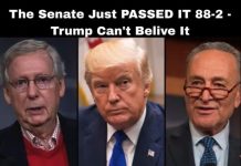 Senate Approves Bill 88-2 — Even Trump Was Surprised! Senate Approves Bill 88-2 — Even Trump Was Surprised! - featured image