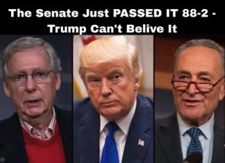 Senate Approves Bill 88-2 — Even Trump Was Surprised! Senate Approves Bill 88-2 — Even Trump Was Surprised! - featured image