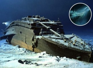 Here’s The Chilling Reason Why There’s No Skeletons In The Titanic Wreckage Here’s The Chilling Reason Why There’s No Skeletons In The Titanic Wreckage - featured image