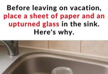 The Simple Sink Trick You Should Do Before Leaving for Vacation The Simple Sink Trick You Should Do Before Leaving for Vacation - featured image