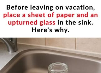 The Simple Sink Trick You Should Do Before Leaving for Vacation The Simple Sink Trick You Should Do Before Leaving for Vacation - featured image