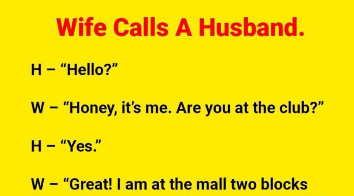 “Hello, Honey?” — This Hilarious Phone Call Has Seniors Laughing Out Loud “Hello, Honey?” — This Hilarious Phone Call Has Seniors Laughing Out Loud - featured image