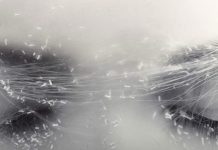 The Zodiac Signs Most Likely to Experience Psychic Dreams—Is Yours One of Them? The Zodiac Signs Most Likely to Experience Psychic Dreams—Is Yours One of Them? - featured image