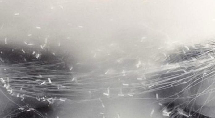 The Zodiac Signs Most Likely to Experience Psychic Dreams—Is Yours One of Them? The Zodiac Signs Most Likely to Experience Psychic Dreams—Is Yours One of Them? - featured image