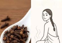 The Natural Power of Cloves: Home Remedies for Better Health at Any Age The Natural Power of Cloves: Home Remedies for Better Health at Any Age - featured image