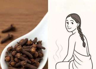 The Natural Power of Cloves: Home Remedies for Better Health at Any Age The Natural Power of Cloves: Home Remedies for Better Health at Any Age - featured image