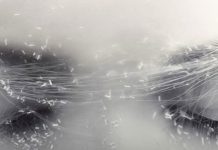 David Muir: The Trusted Voice of American Journalism David Muir: The Trusted Voice of American Journalism - featured image