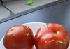 Unexpected Turn: Rotten Tomatoes Lead to a Surprising Find in My Kitchen Unexpected Turn: Rotten Tomatoes Lead to a Surprising Find in My Kitchen - featured image