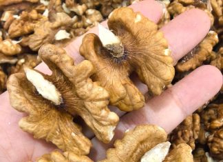 Why Walnuts Are a Powerful Snack for Better Health Why Walnuts Are a Powerful Snack for Better Health - featured image