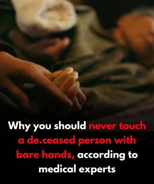 Why You Should Never Touch a De.ceased Bo.dy with Bare Hands – According to Medical Experts - featured image Why You Should Never Touch a De.ceased Bo.dy with Bare Hands – According to Medical Experts - featured image