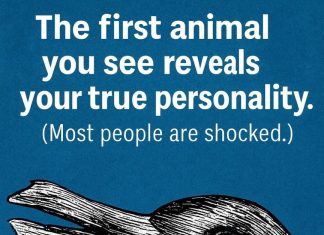 Discover your Spirit Animal Discover your Spirit Animal - featured image