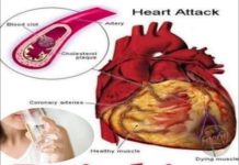 Silent Morning Habit, Loud Results Silent Morning Habit, Loud Results - featured image