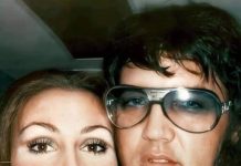 Echoes Behind Graceland’s Doors Echoes Behind Graceland’s Doors - featured image