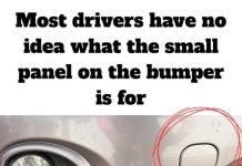The Hidden Panel on Your Bumper Has a Life-Saving Purpose The Hidden Panel on Your Bumper Has a Life-Saving Purpose - featured image