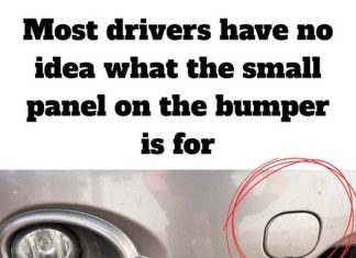 The Hidden Panel on Your Bumper Has a Life-Saving Purpose The Hidden Panel on Your Bumper Has a Life-Saving Purpose - featured image