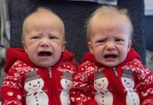 ChatGPT said: The Moment I Picked Up My Wife and Our Twins for the First Time ChatGPT said: The Moment I Picked Up My Wife and Our Twins for the First Time - featured image