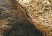 For 25 years, a man has been living alone in a cave with his dog. Take a look inside the cave now. Check top comment below For 25 years, a man has been living alone in a cave with his dog. Take a look inside the cave now. Check top comment below - featured image