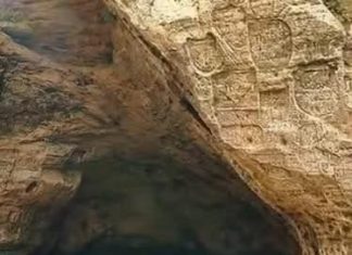 A Man Spent 25 Years Living Quietly in a Cave With His Dog—Here’s His Story A Man Spent 25 Years Living Quietly in a Cave With His Dog—Here’s His Story - featured image