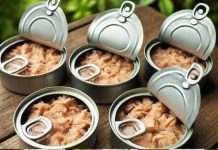 Creative and Practical Ways to Reuse Empty Tuna Cans at Home Creative and Practical Ways to Reuse Empty Tuna Cans at Home - featured image