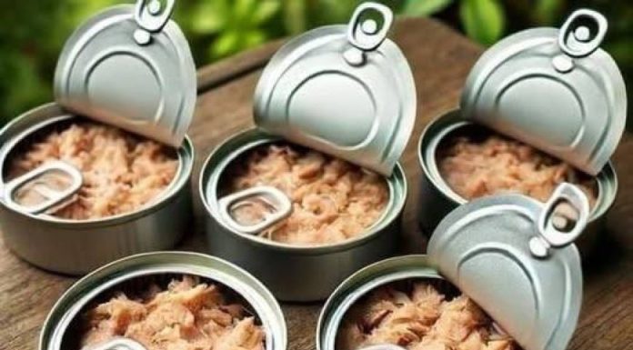 Creative and Practical Ways to Reuse Empty Tuna Cans at Home Creative and Practical Ways to Reuse Empty Tuna Cans at Home - featured image