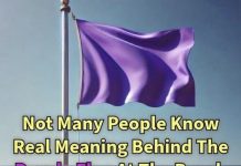 What a Purple Flag at the Beach Typically Means What a Purple Flag at the Beach Typically Means - featured image