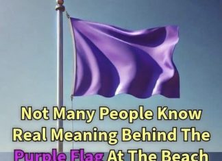 What a Purple Flag at the Beach Typically Means What a Purple Flag at the Beach Typically Means - featured image