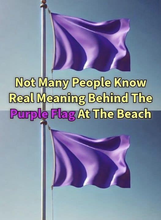 What a Purple Flag at the Beach Typically Means - featured image What a Purple Flag at the Beach Typically Means - featured image