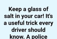 Why Many People Use Salt for Car Maintenance and Home Tips Why Many People Use Salt for Car Maintenance and Home Tips - featured image