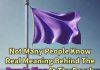 Why You Might See a Purple Flag Flying at the Beach Why You Might See a Purple Flag Flying at the Beach - featured image