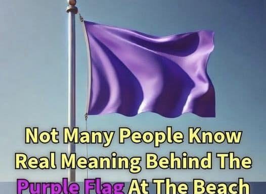 Why You Might See a Purple Flag Flying at the Beach Why You Might See a Purple Flag Flying at the Beach - featured image