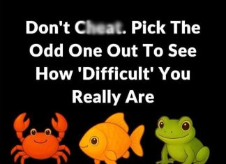 How Your Choice in a Simple “Odd One Out” Puzzle Reveals Your Unique Thinking Style How Your Choice in a Simple “Odd One Out” Puzzle Reveals Your Unique Thinking Style - featured image