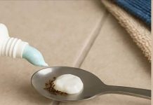 A Simple Household Method That May Help Reduce Insects Indoors A Simple Household Method That May Help Reduce Insects Indoors - featured image