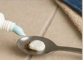 A Simple Household Method That May Help Reduce Insects Indoors A Simple Household Method That May Help Reduce Insects Indoors - featured image