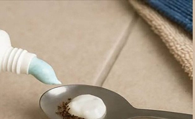 A Simple Household Method That May Help Reduce Insects Indoors A Simple Household Method That May Help Reduce Insects Indoors - featured image