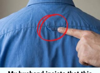 Why Button-Down Shirts Feature a Loop on the Back Why Button-Down Shirts Feature a Loop on the Back - featured image
