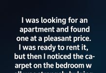 Behind the Carpet: A Quiet Discovery in a New Home Behind the Carpet: A Quiet Discovery in a New Home - featured image