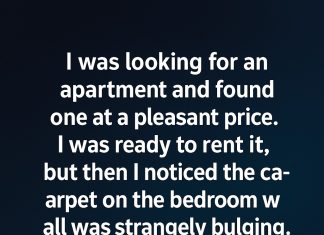 Behind the Carpet: A Quiet Discovery in a New Home Behind the Carpet: A Quiet Discovery in a New Home - featured image